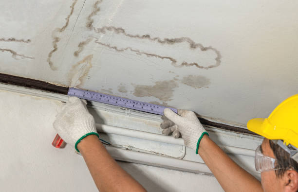 Reliable Flood Cleanup contractor in Trenton, TX by Water Damage Irwin